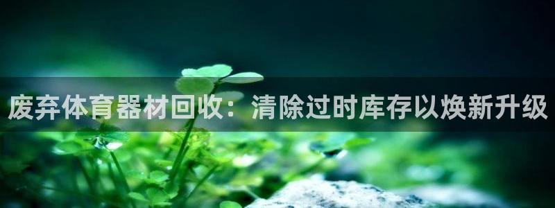 尊龙网址登录官网：废弃体育器材回收：清除过时库存以焕